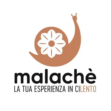 Malache 3* Torchiara
