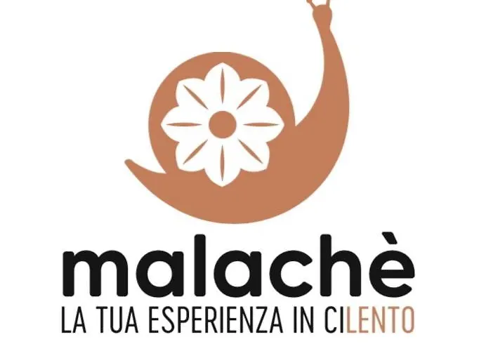 Malache 3* Torchiara