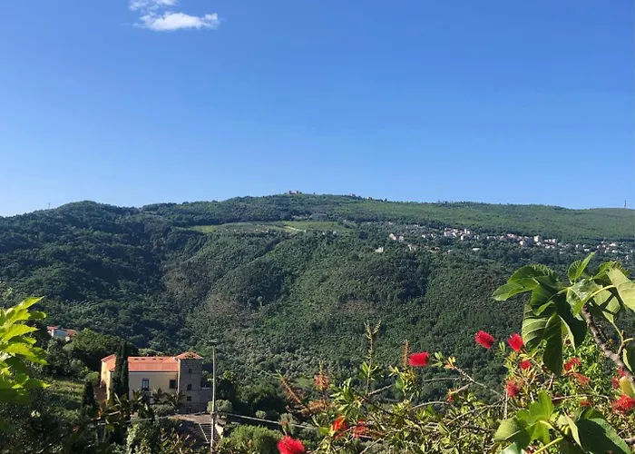 Malache Pensión Torchiara
